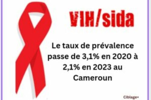 Article : VIH/SIDA: le taux de prévalence en baisse au Cameroun