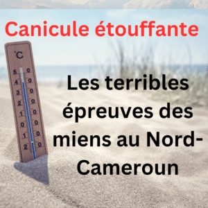Article : Canicule étouffante : les terribles épreuves des miens au Nord-Cameroun