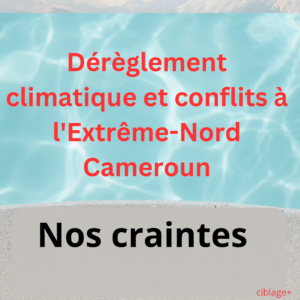 Article : Dérèglement climatique et conflits à l’Extrême-Nord Cameroun : Nos craintes